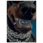 944addb9-f757-4681-a0ea-e4510abb7232