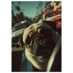 a8465922-6b83-41c5-8609-4c034ee5c925