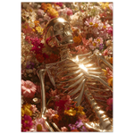 183be3e1-d080-4537-8eb7-d44a73a063bb